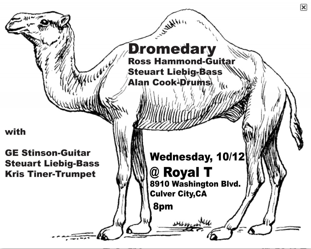 Tone Drift / Dromedary at Royal T